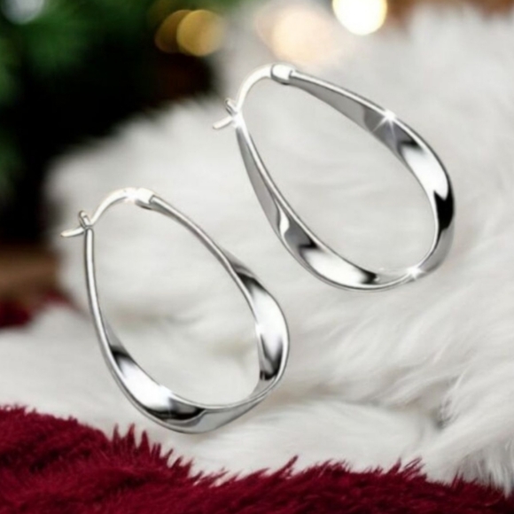 Jewelry - Silver Hoop Earrings